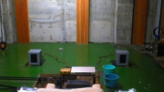 f0000652_252678.jpg