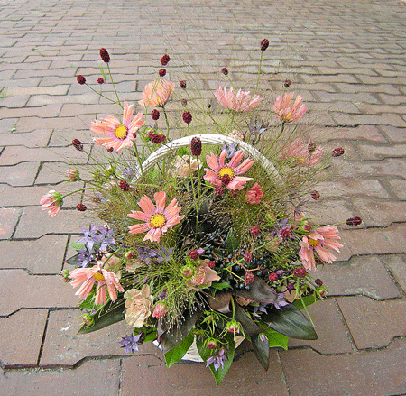 a0001354_21595136.gif