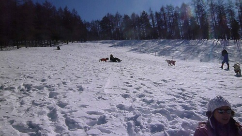 a0166954_201129.jpg