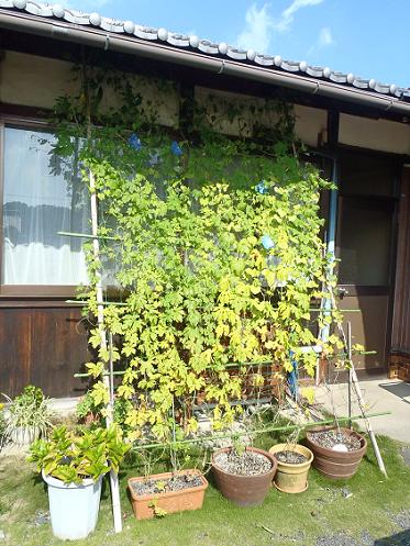 e0044657_21204858.jpg