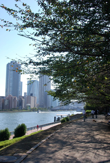 b0174068_2112623.jpg