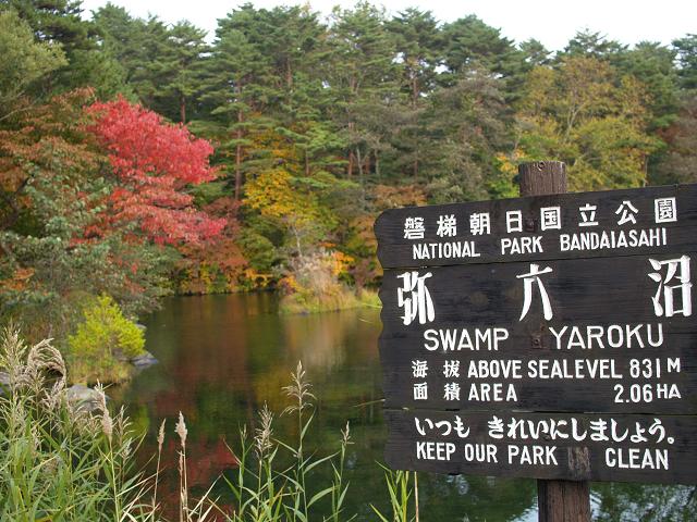 e0078071_2192585.jpg