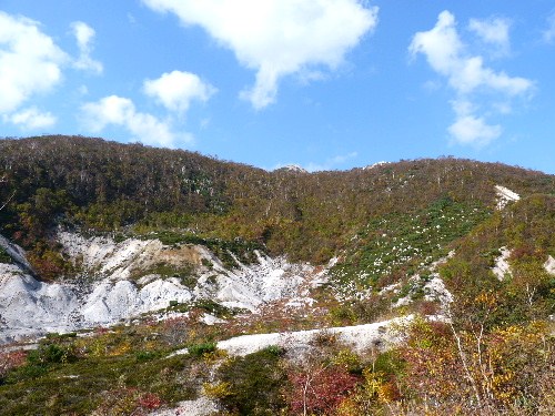 d0084473_20422755.jpg