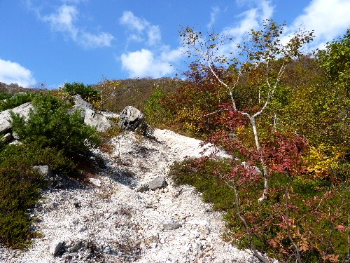 d0084473_20425858.jpg