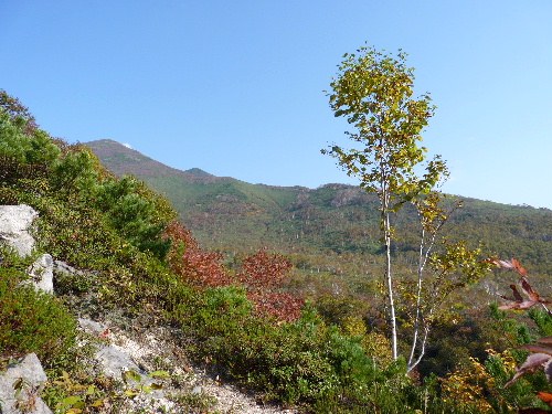 d0084473_2043657.jpg