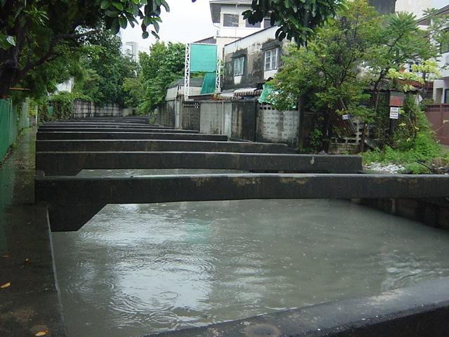 b0035675_22492557.jpg