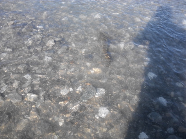 a0093677_22353448.jpg