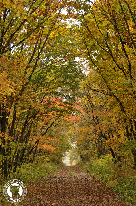 f0210380_13443486.jpg
