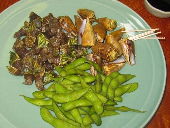 f0003283_7305640.jpg