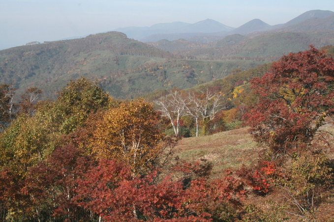 f0142986_20465333.jpg