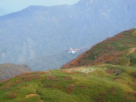 c0018489_029358.jpg