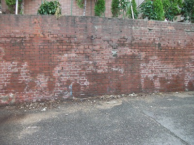 f0097493_1105254.jpg