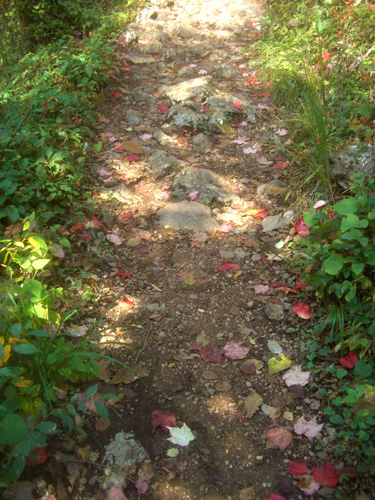 b0099994_16291931.jpg