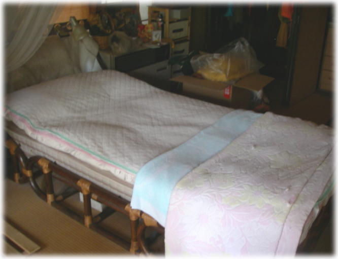 d0046294_14214551.jpg