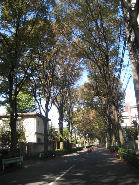 e0115994_14393819.jpg