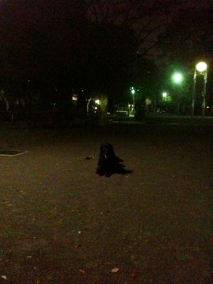 c0050400_1945754.jpg