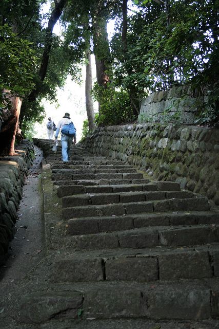 f0083400_22221129.jpg