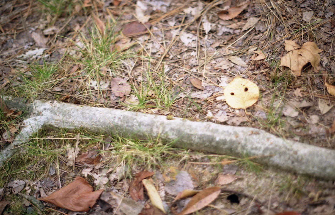 d0071507_2119296.jpg
