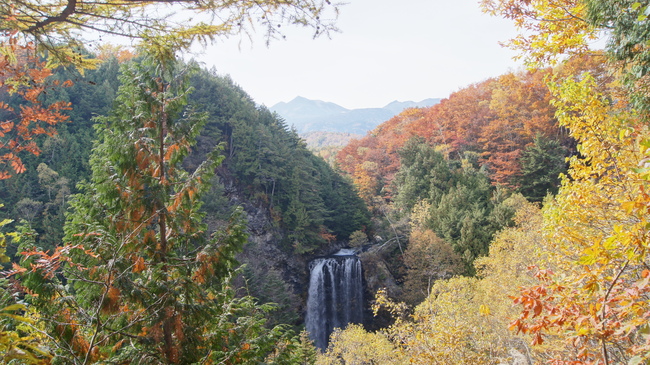 f0233414_2058082.jpg