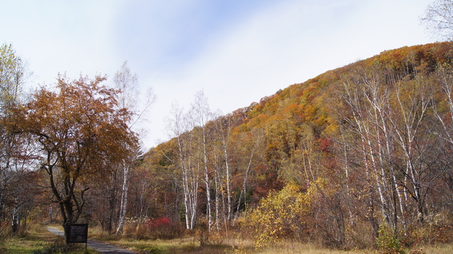 f0233414_21164656.jpg