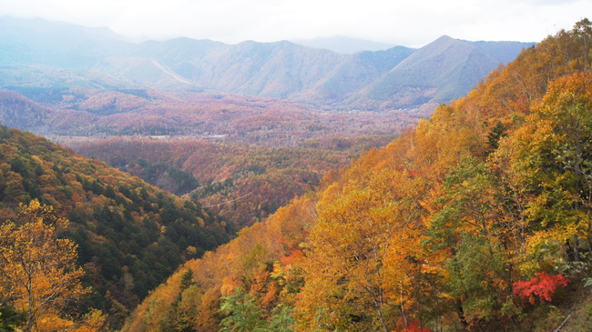 f0233414_21291346.jpg