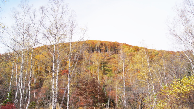 f0233414_21414384.jpg