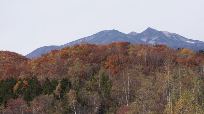 f0233414_2174331.jpg