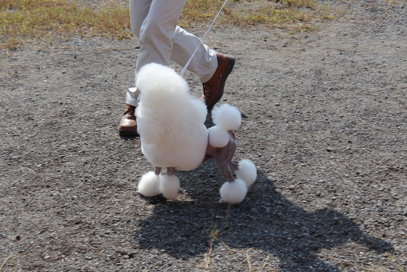 b0197418_17165434.jpg