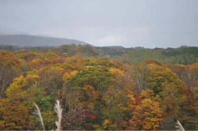 b0210322_21302865.jpg