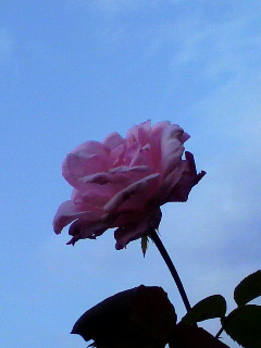 f0036223_18243327.jpg