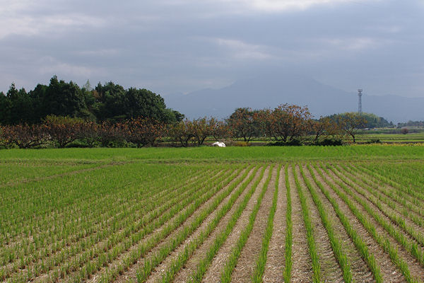 f0007926_1341162.jpg