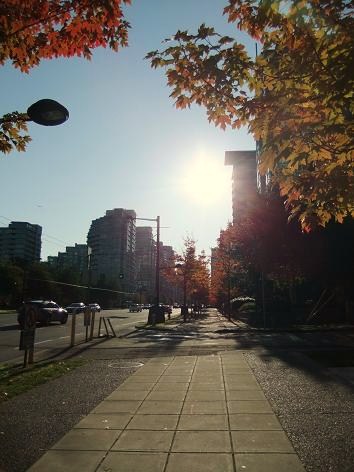 f0111926_13512579.jpg