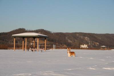 e0077528_1055234.jpg