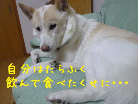 b0138430_20211425.jpg
