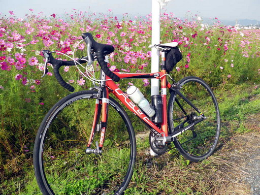 f0000330_18403112.jpg