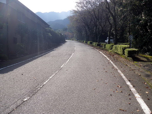 f0000330_18435311.jpg