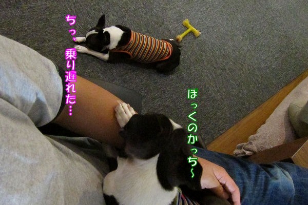 c0209932_23173663.jpg