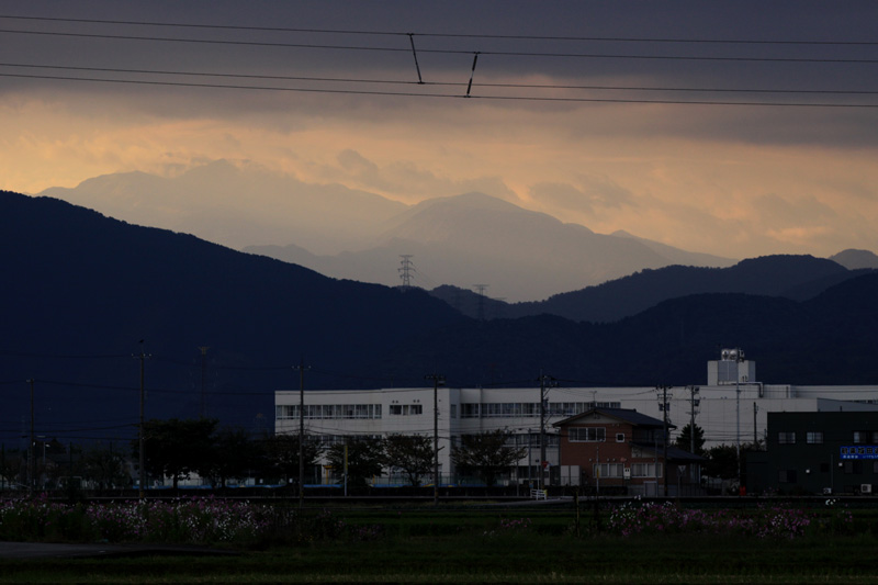 b0177233_4192143.jpg