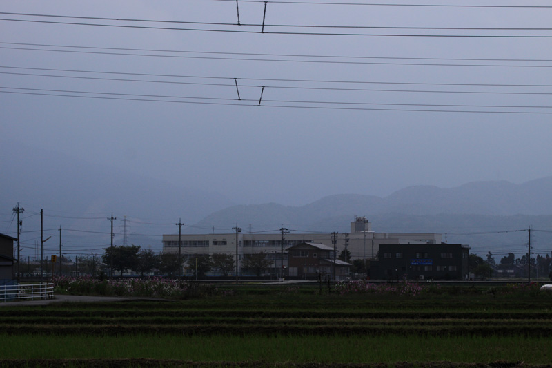 b0177233_420922.jpg