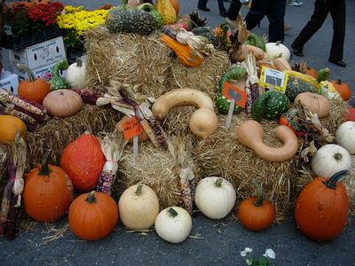 f0200433_2213965.jpg