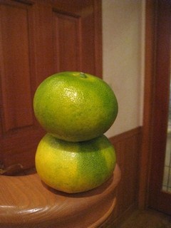c0134734_10535.jpg