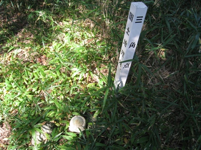 c0077338_611519.jpg