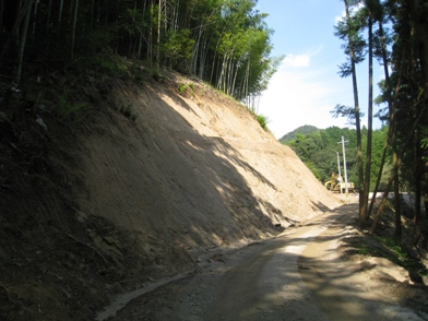 c0077338_691172.jpg