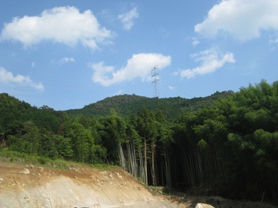 c0077338_694395.jpg