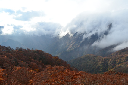 e0228938_16395691.jpg