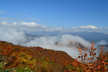 e0228938_16445327.jpg