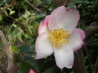 a0054240_2213330.jpg