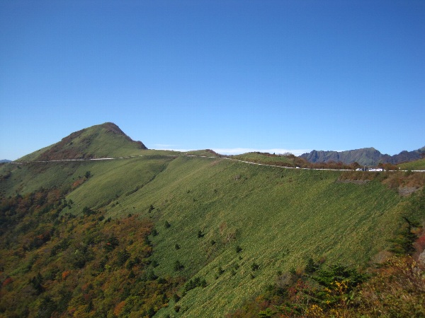 b0149340_963971.jpg