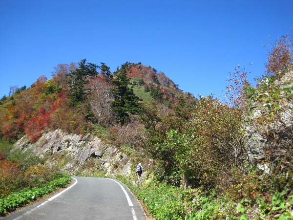 b0149340_982132.jpg