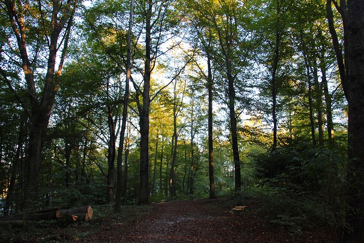 c0153740_1823636.jpg